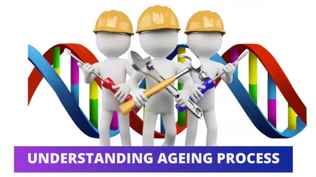 understanding aging process