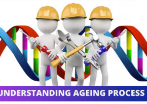 understanding aging process