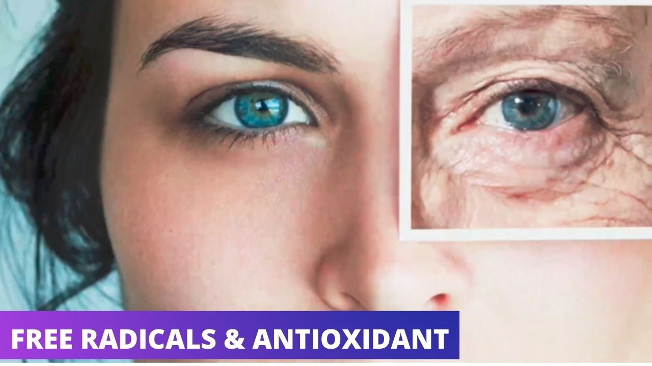 Aging: Free Radicals And Antioxidants