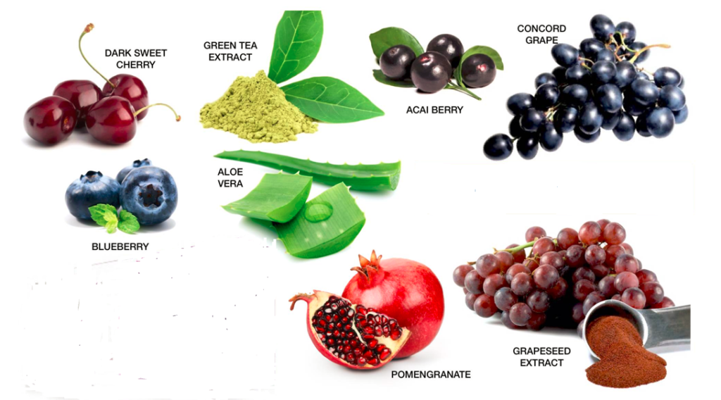 antioxidant fruits